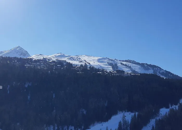 Lumineux 8 Pers, Parking, 1650 - Fr-1-514-19 Courchevel