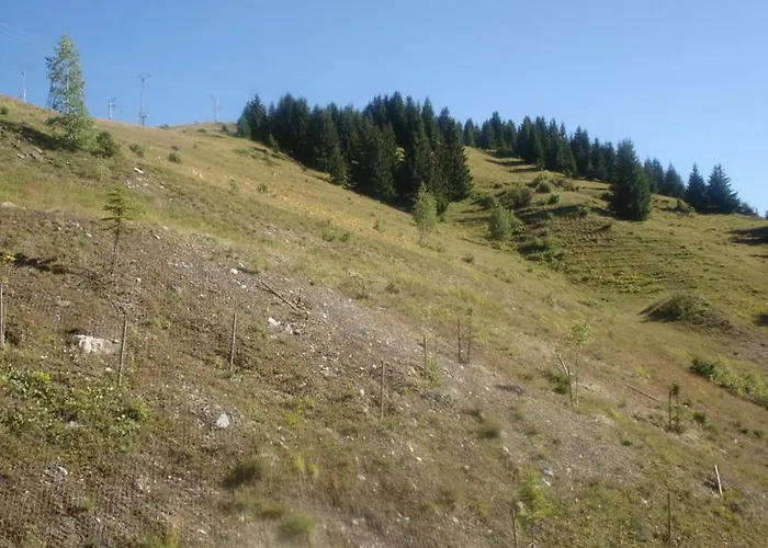 Lumineux 8 Pers, Parking, 1650 - Fr-1-514-19 * Courchevel